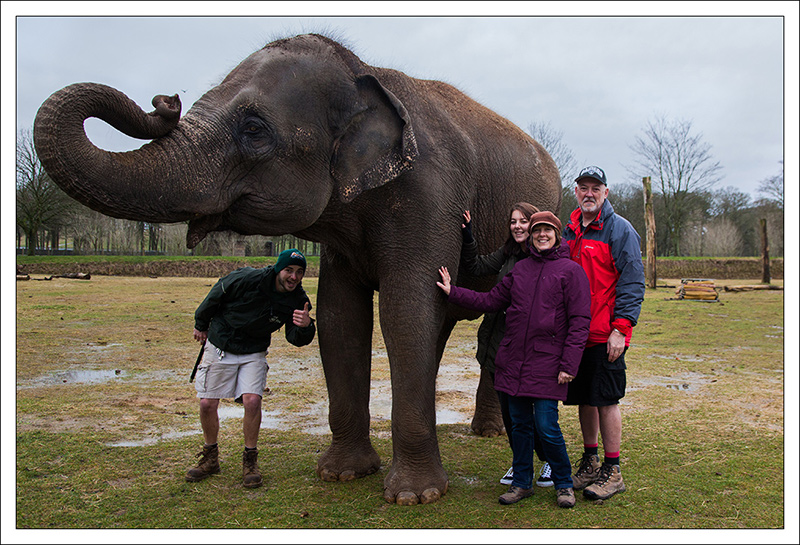 The Photographer with Family and Asian Elephant at Woburn